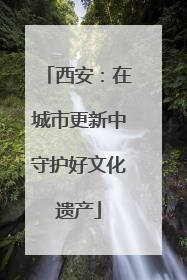 西安：在城市更新中守护好文化遗产
